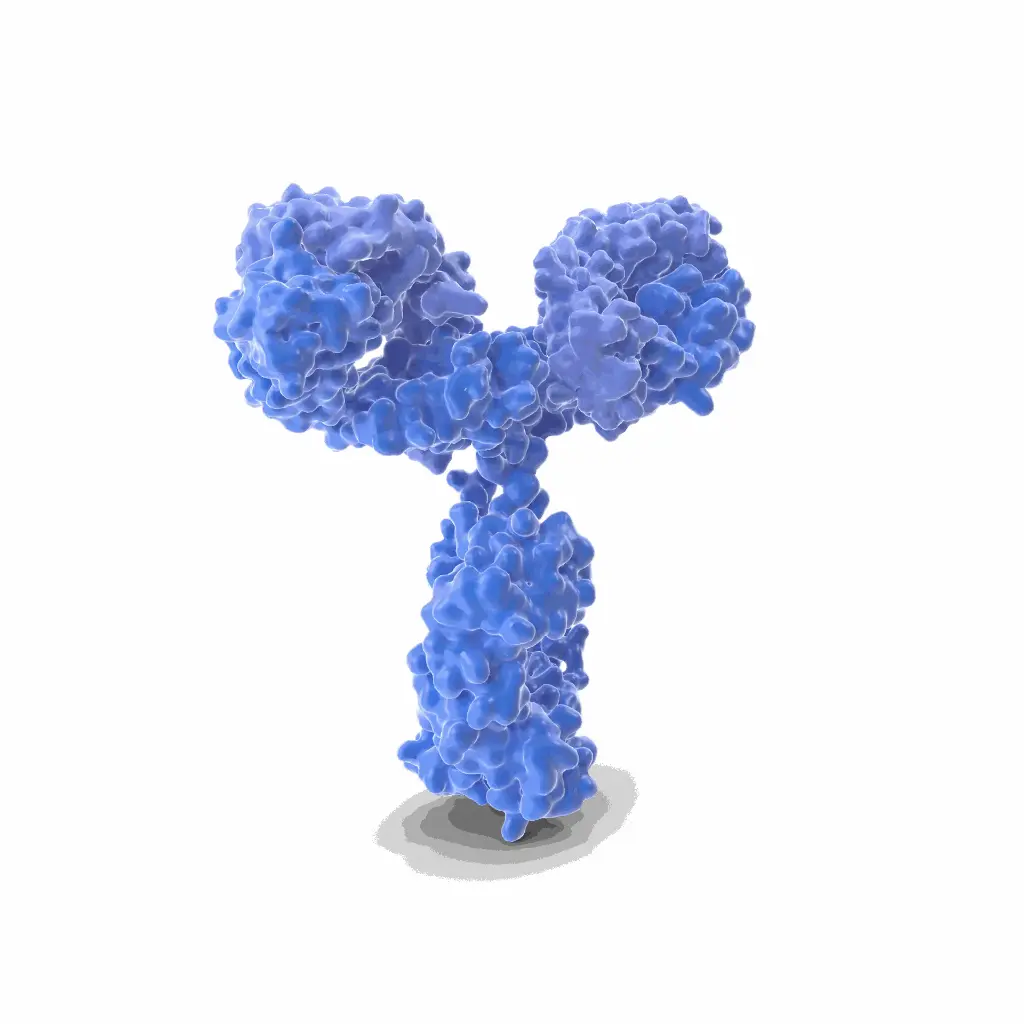 14 3 3 antibody   