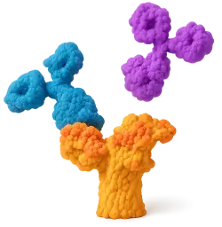  488 Rabbit anti-Mouse FOXP3 mAb (100 T)