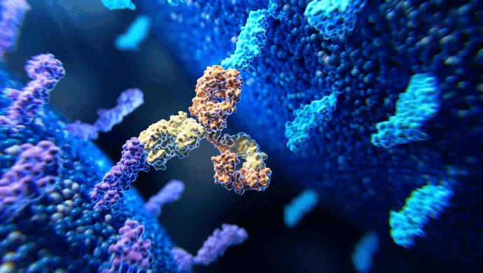 MAPK8IP3 Antibody   