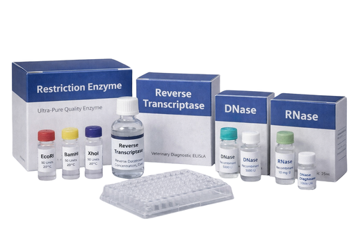 [HMD3804-04] Low Copy and Hot Start Taq DNA
Polymerase Master Mix (Antibody modified) V3