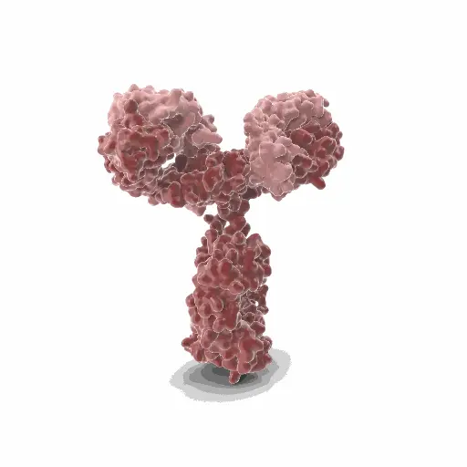 [GEN-ANTI-05] Gentaur PabF6 (CCI-103F) Monoclonal Antibody