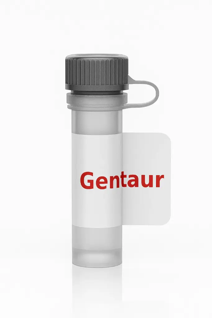 [ABSMA-4159] Rabbit Anti-CDK9 MAb, Ca13626