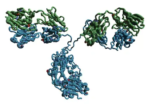 [MBL-M081-4-sf] Rat IgG2a (isotype control)-FITC (Clone: 2H3)