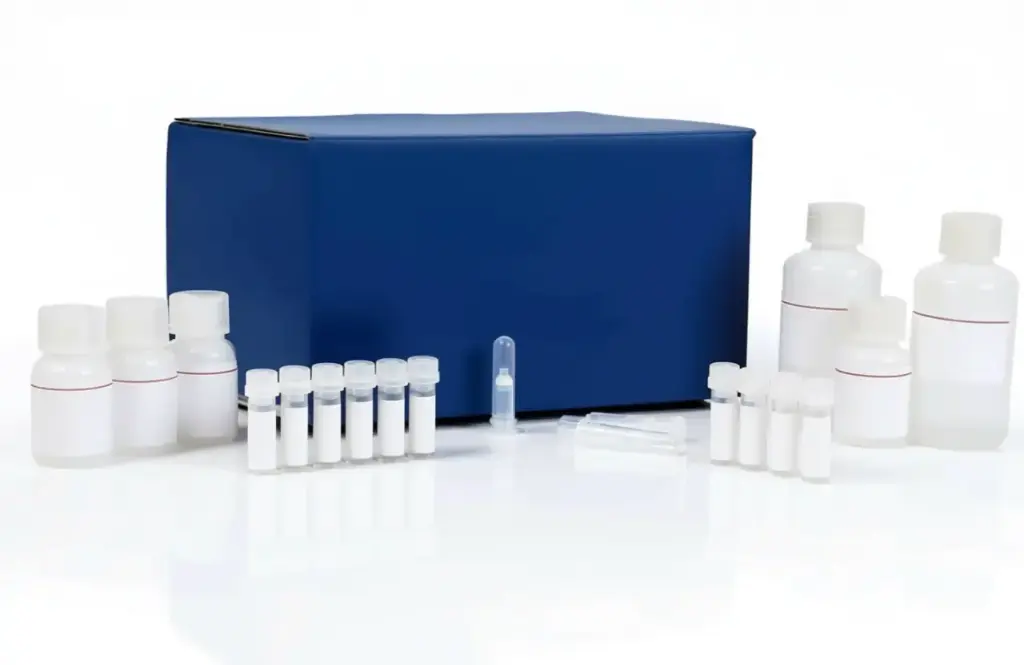 [MBL-3317- sf] V5-tagged Protein Purification Kit Ver.2