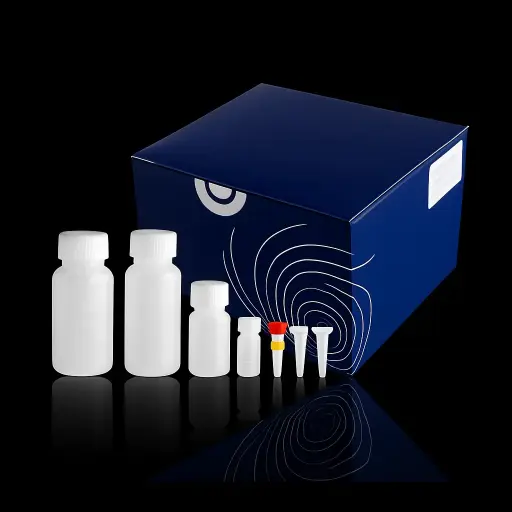 [63857-sf] KD-Validated DNM1L Mouse mAb (20 μl)